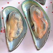 Boiled Greenshell Mussels in Half Shell 