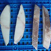 Oilfish Steak ( Rough Scale ) Half Moon Cut