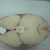 Oilfish Steak ( Rough Scale )