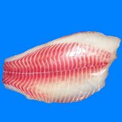 Tilapia Fillet Regular Skinned