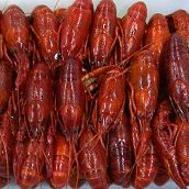 Crawfish( Cooked ) 